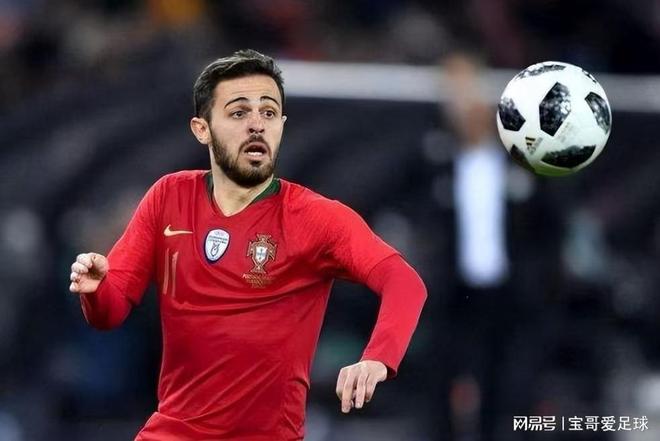 的生动写照 的生动写照