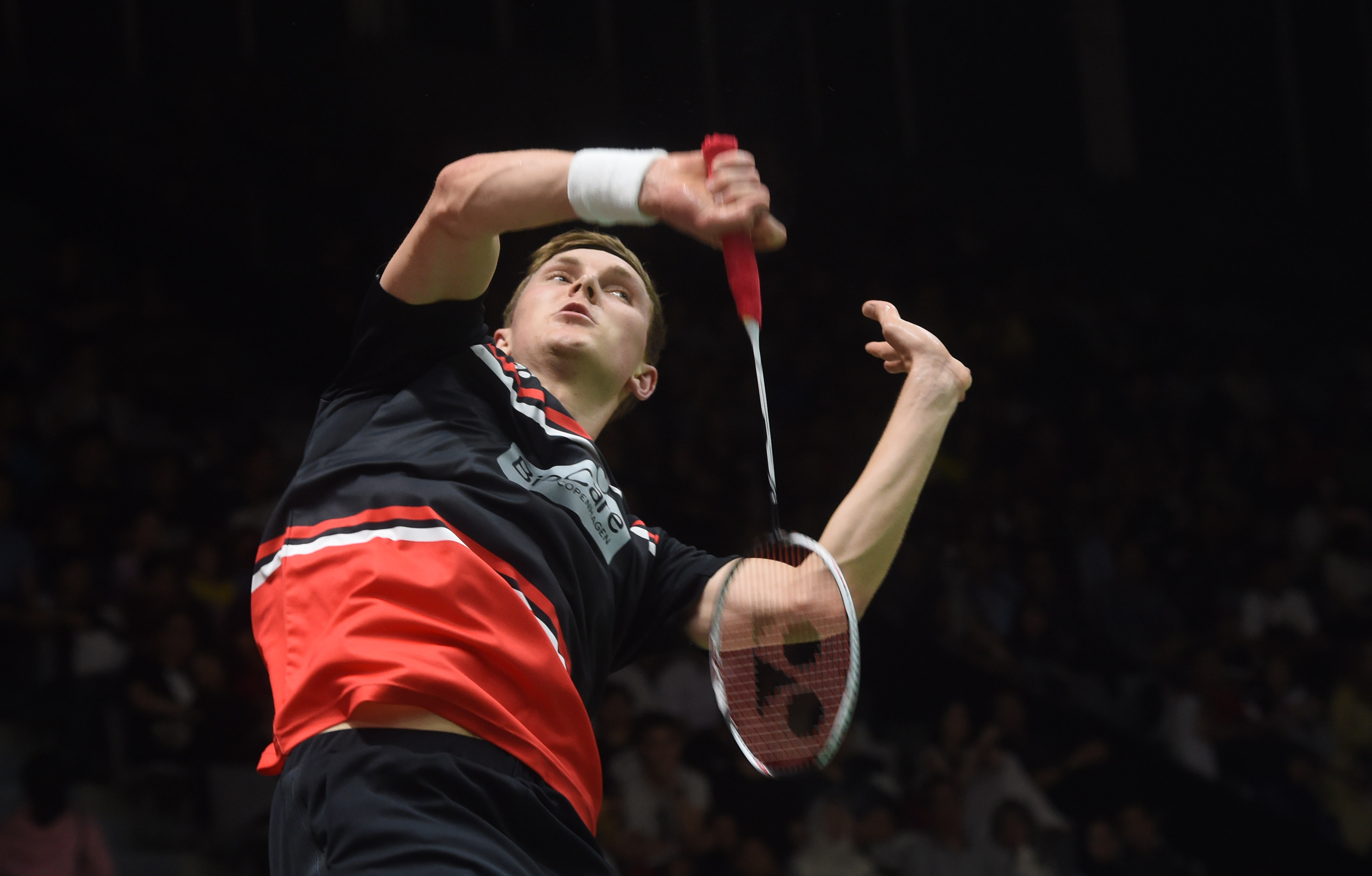 我们将细细 我们将细细