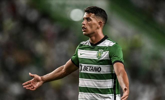 了优质的硬 了优质的硬